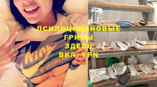 твердый Арсеньев