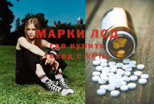 твердый Арсеньев